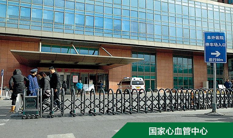 南京九竹